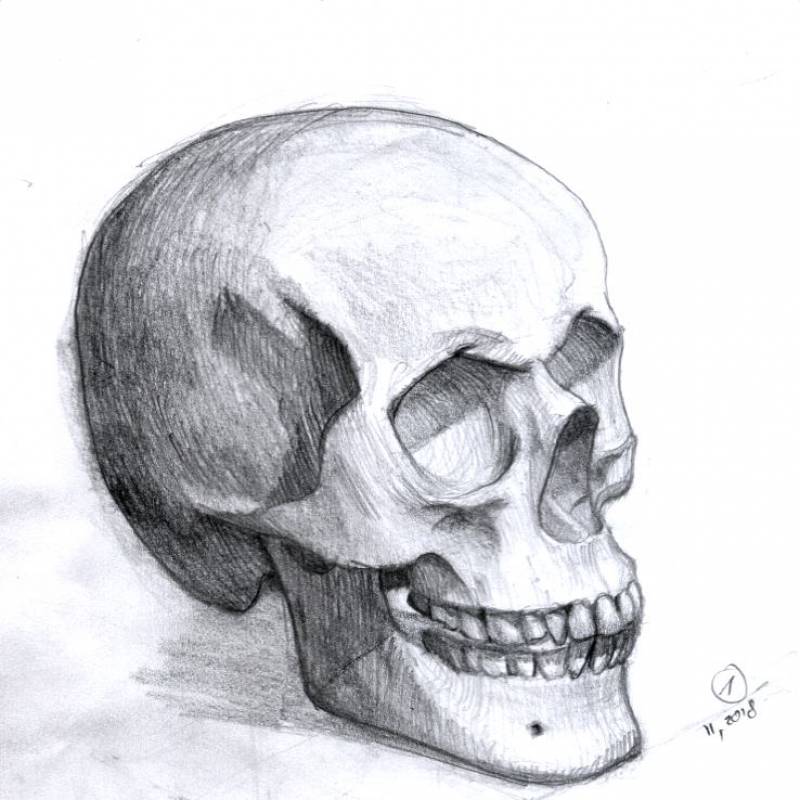 /Skull practice