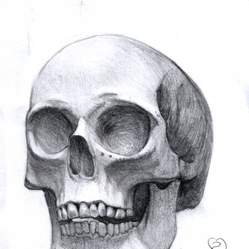 /Skull practice